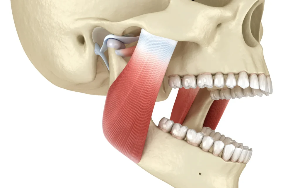 Современные подходы в гнатологии