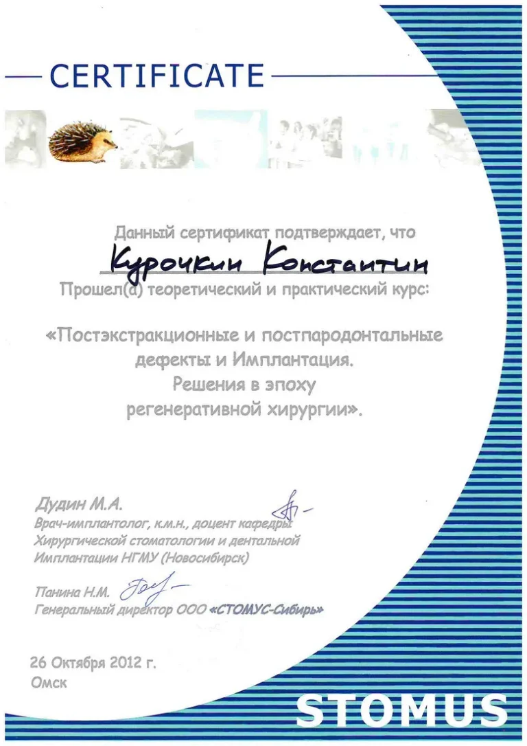Курочкин Константин Андреевич - сертификат