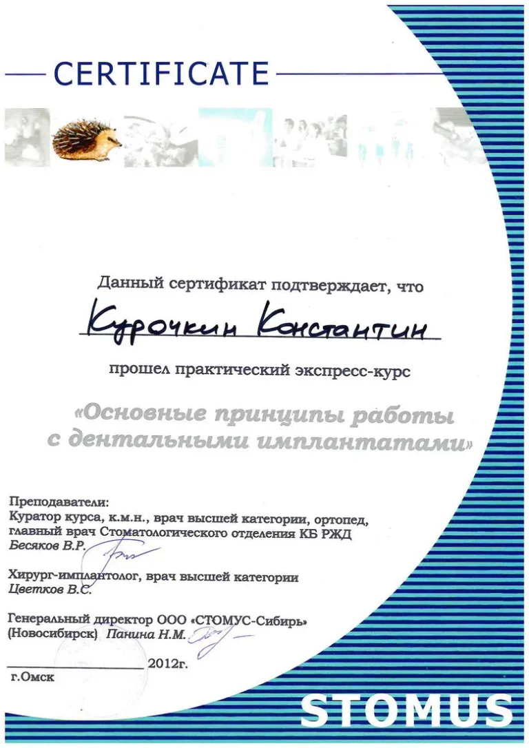 Курочкин Константин Андреевич - сертификат